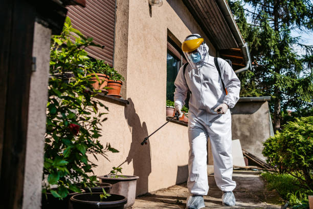 Best Emergency Pest Control  in Weldon, CA