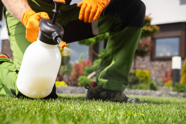 Best Bird Control  in Weldon, CA