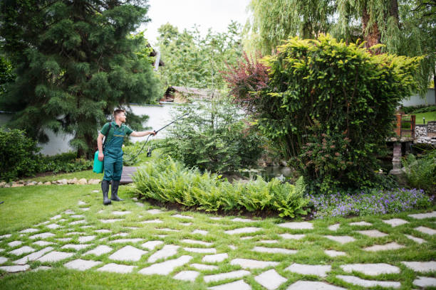 Pest Control Cost in Weldon, CA