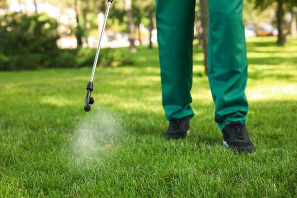 Best Cockroach Control Services  in Weldon, CA