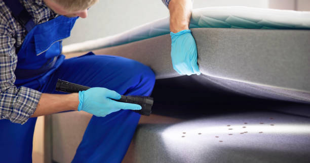 Best Local Pest Control Services  in Weldon, CA