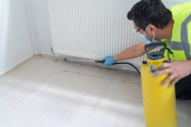 Best Affordable Pest Control Services  in Weldon, CA